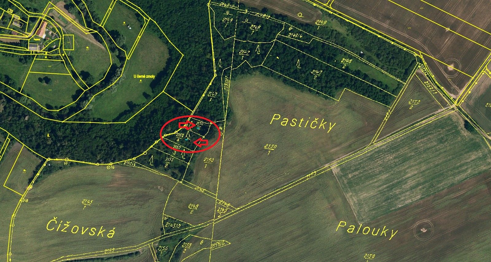 Prodej les - Horní Bříza, okres Plzeň-sever, Plzeňský kraj - 2
