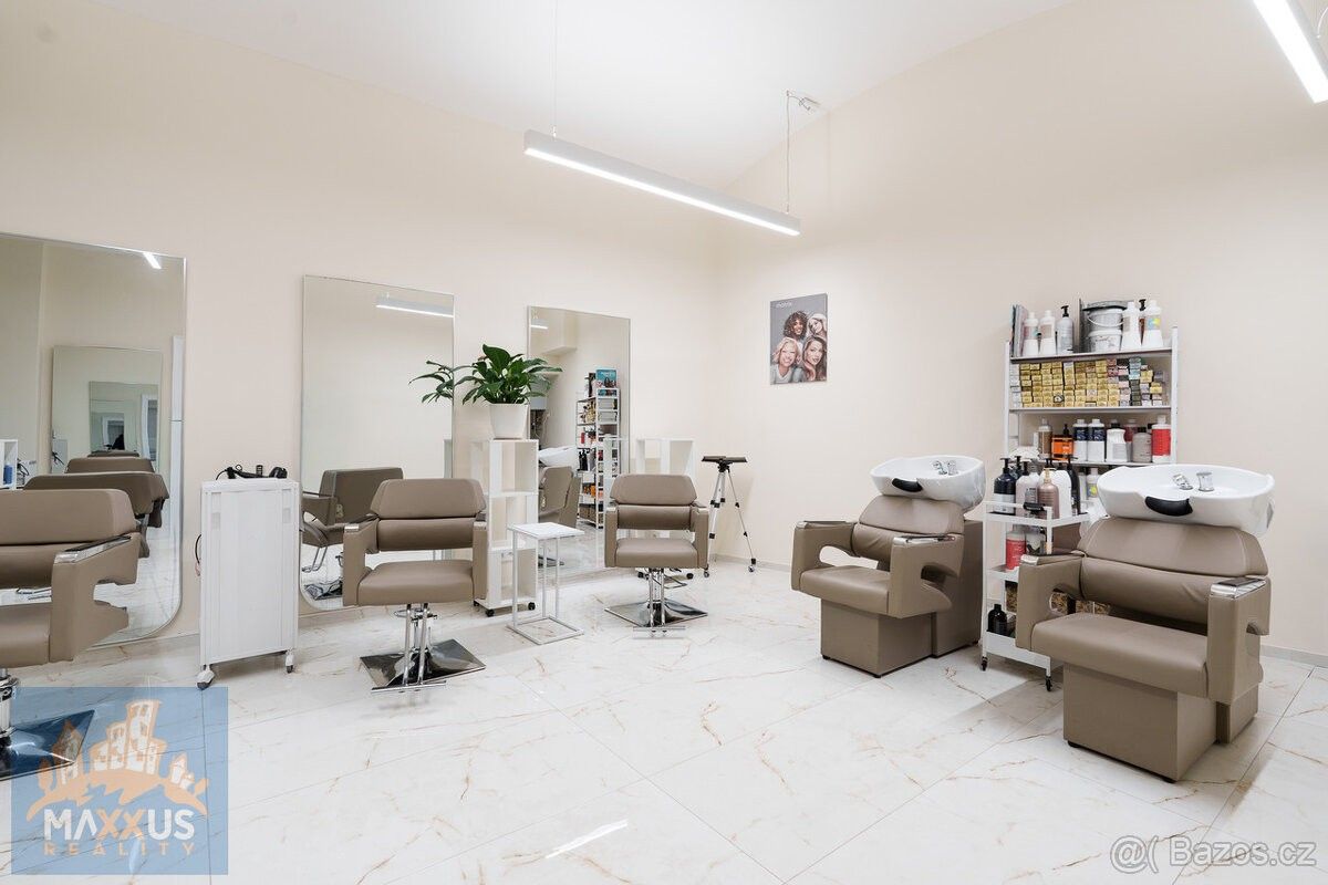 Obchodní prostory, Praha, 110 00