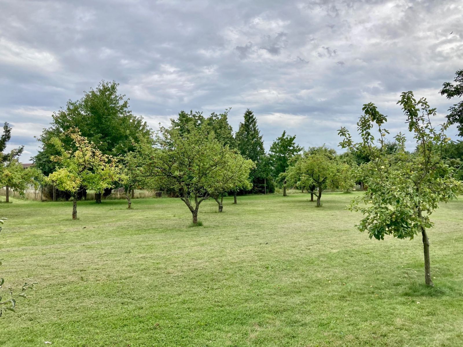 Pozemek pro bydlení · 1 177 m² · Ke Trati, Pavlov u Unhoště, Středočeský kraj - 3