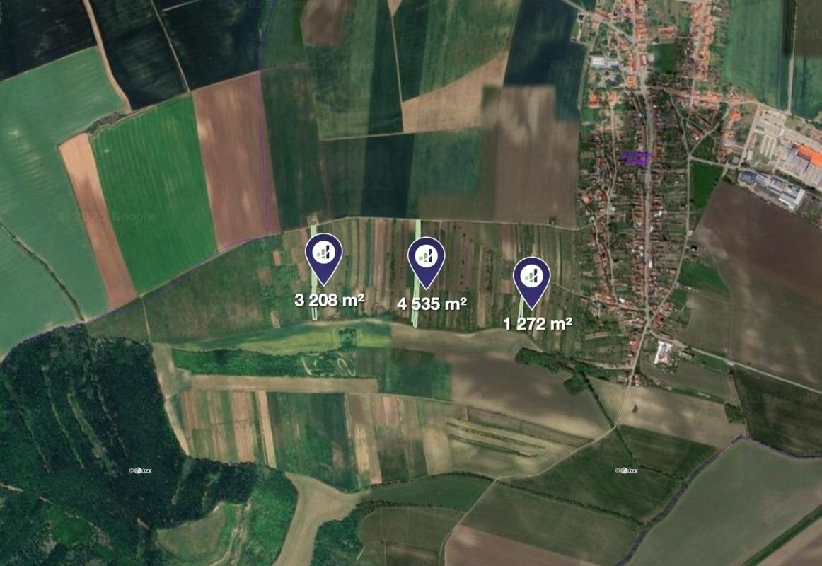 Prodej zemědělský pozemek - Brumovice, 9 015 m²