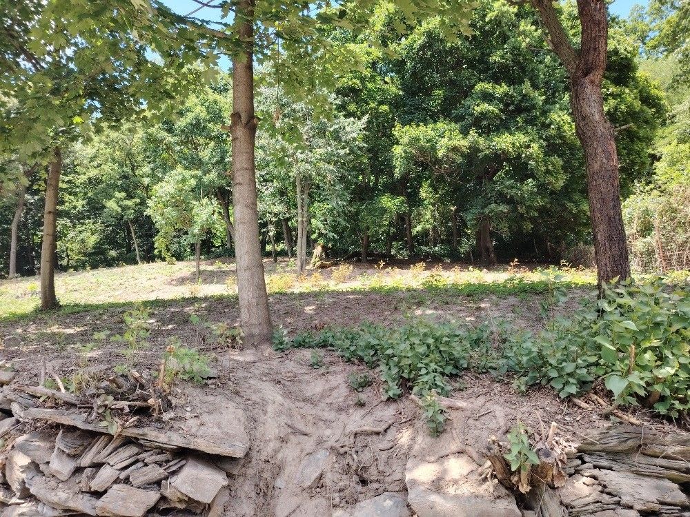 Pozemky pro bydlení, Veselíčko u Lipníka nad Bečvou, 751 25