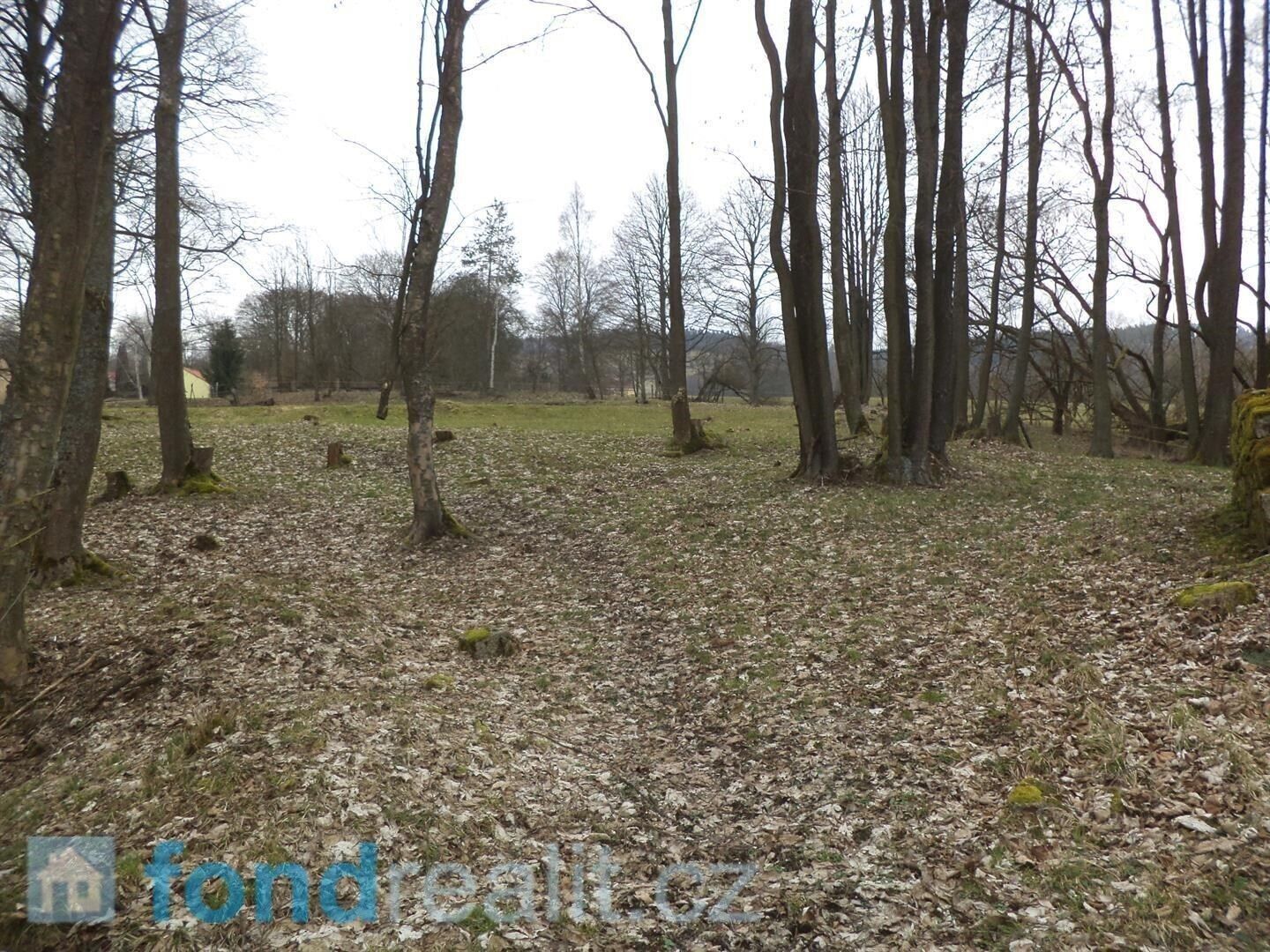 Prodej pozemek pro bydlení - Dolní Nivy, 1 m²