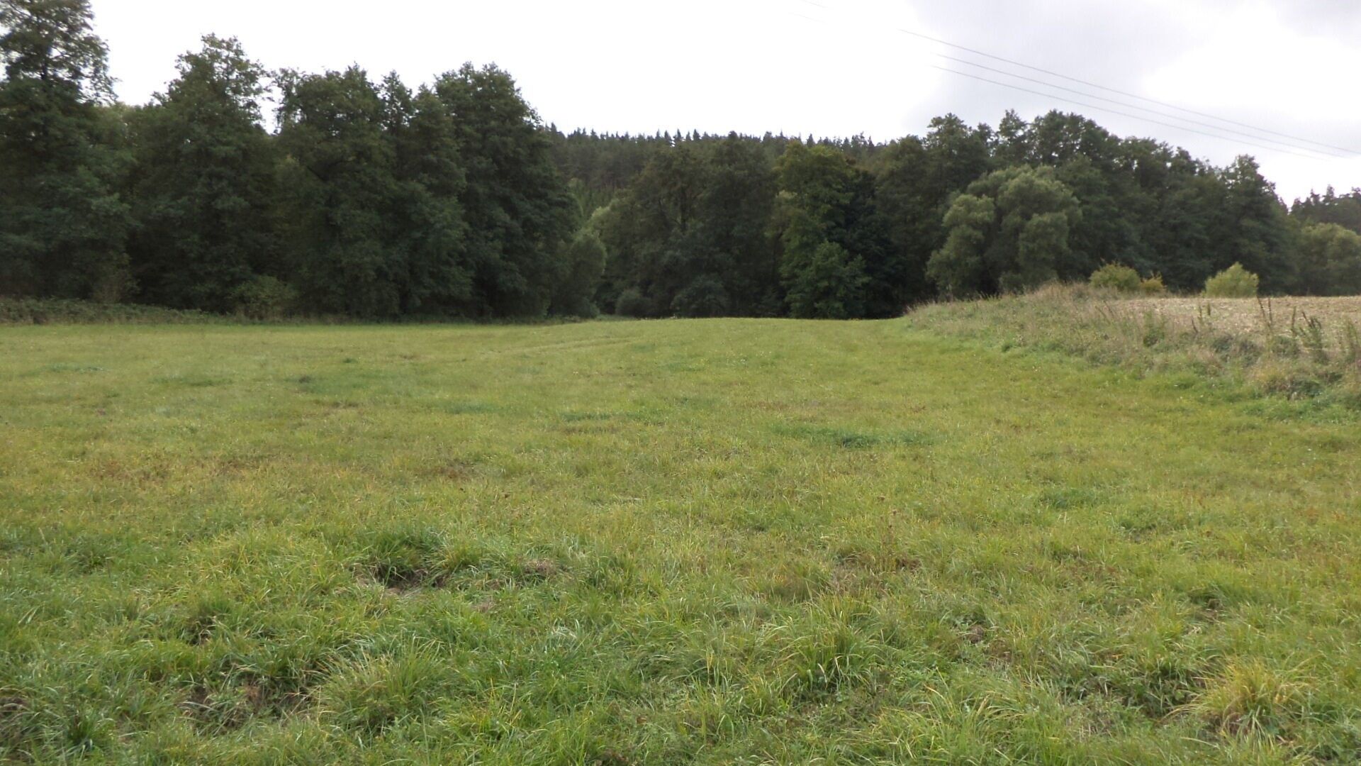 Zemědělský pozemek · 58 887 m² · Tachov - 3