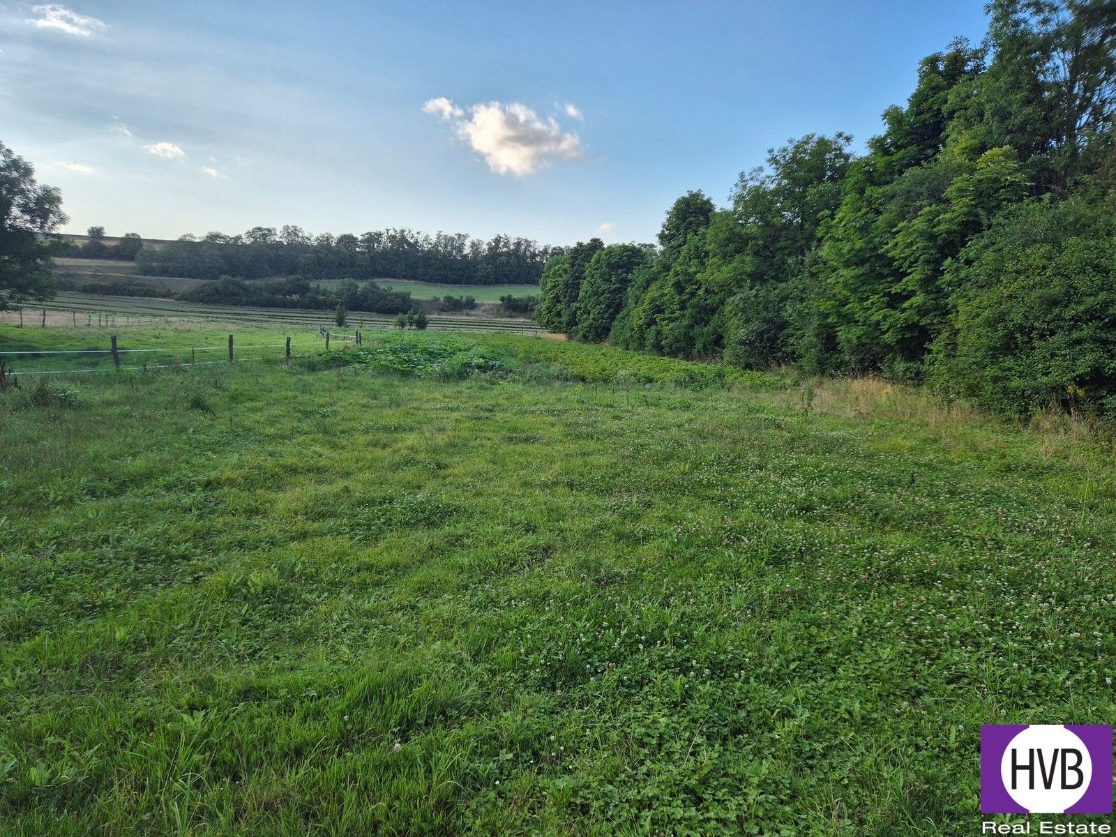 Prodej pozemek pro bydlení - Blevice, 1 m²