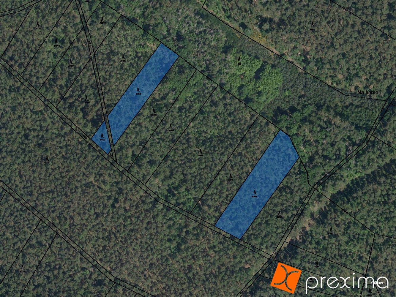 Prodej les - Litošice, okres Pardubice, Pardubický kraj - 1