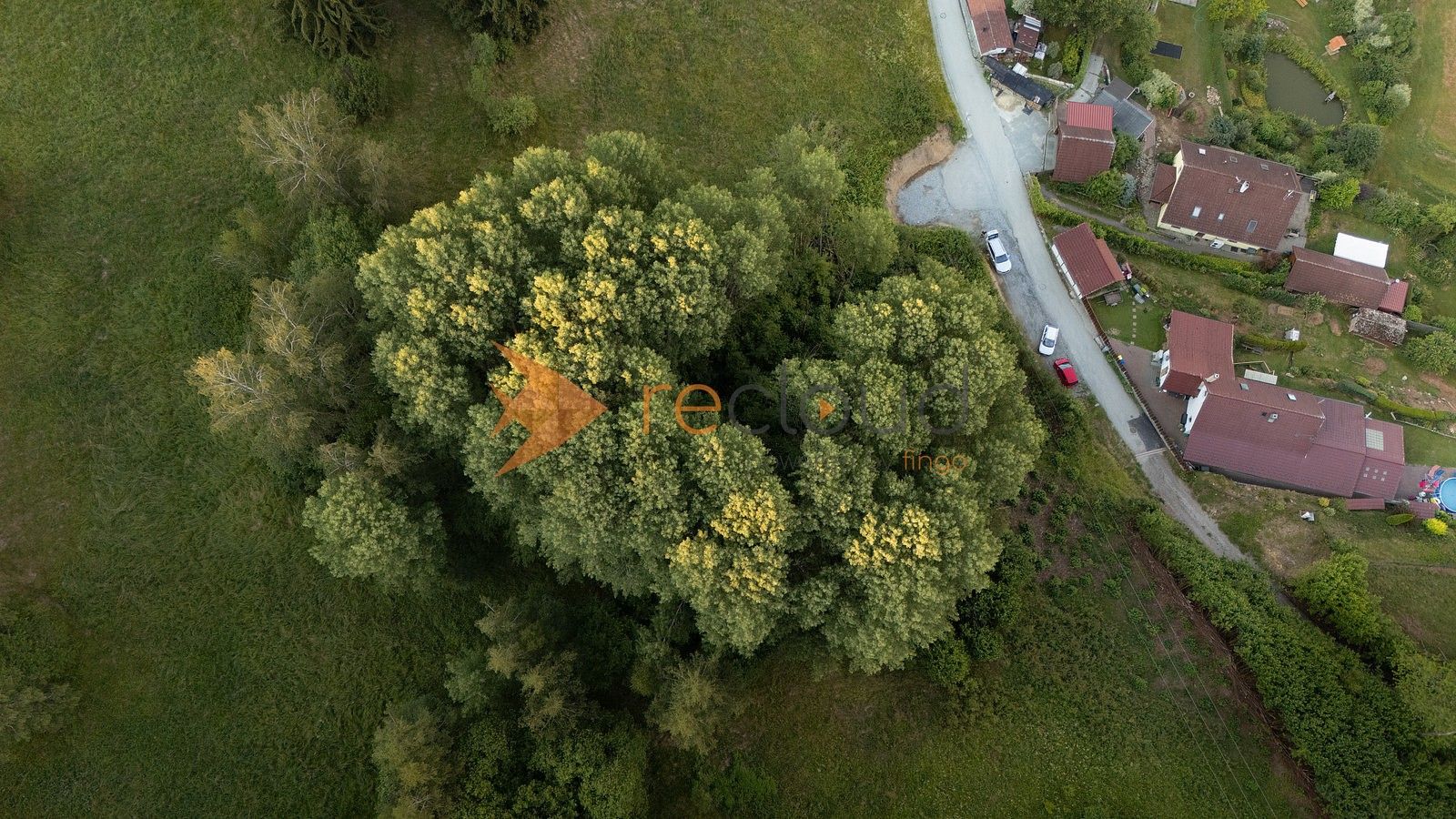 Les · Větřní, okres Český Krumlov, Jihočeský kraj - 1