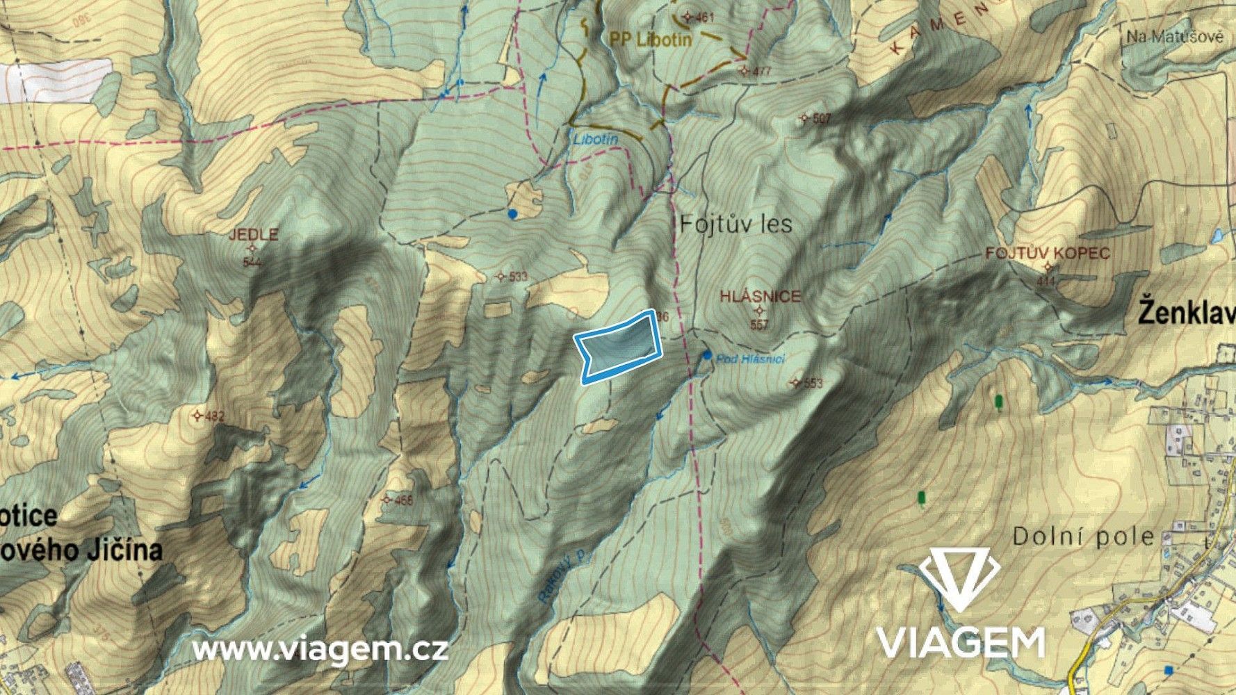 Les · Životice u Nového Jičína, okres Nový Jičín, Moravskoslezský kraj - 3