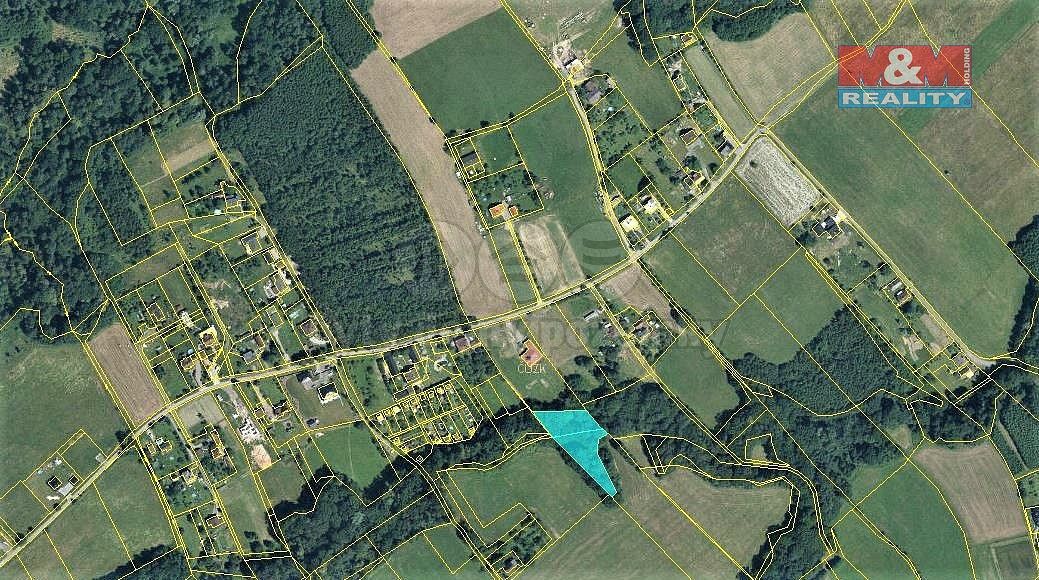 Les · Český Těšín, okres Karviná, Moravskoslezský kraj - 4