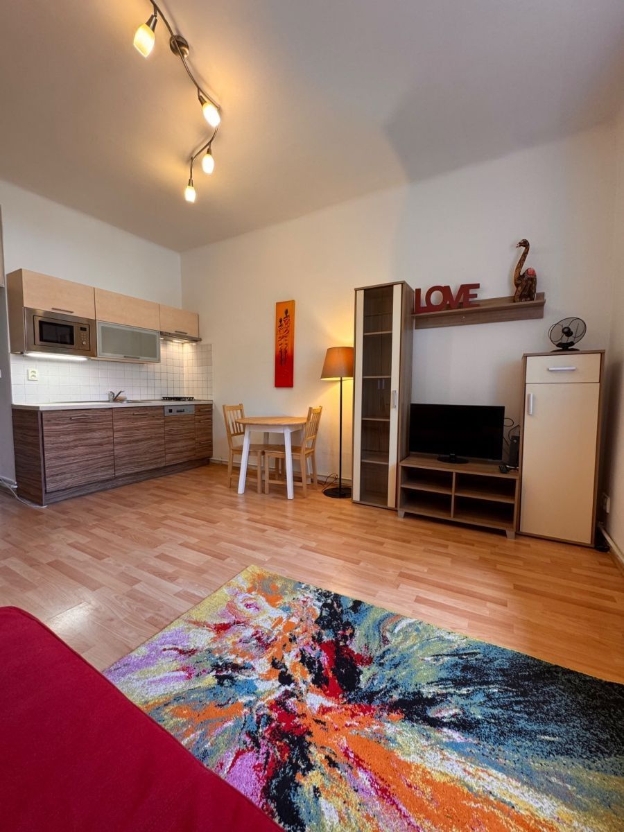 Byt 1+kk · 30 m² · V Domově, Praha - Žižkov - 4