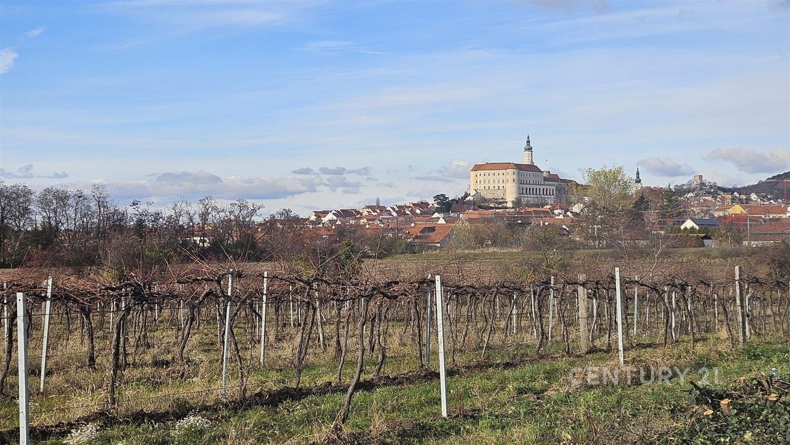 Pozemek · Mikulov - 4