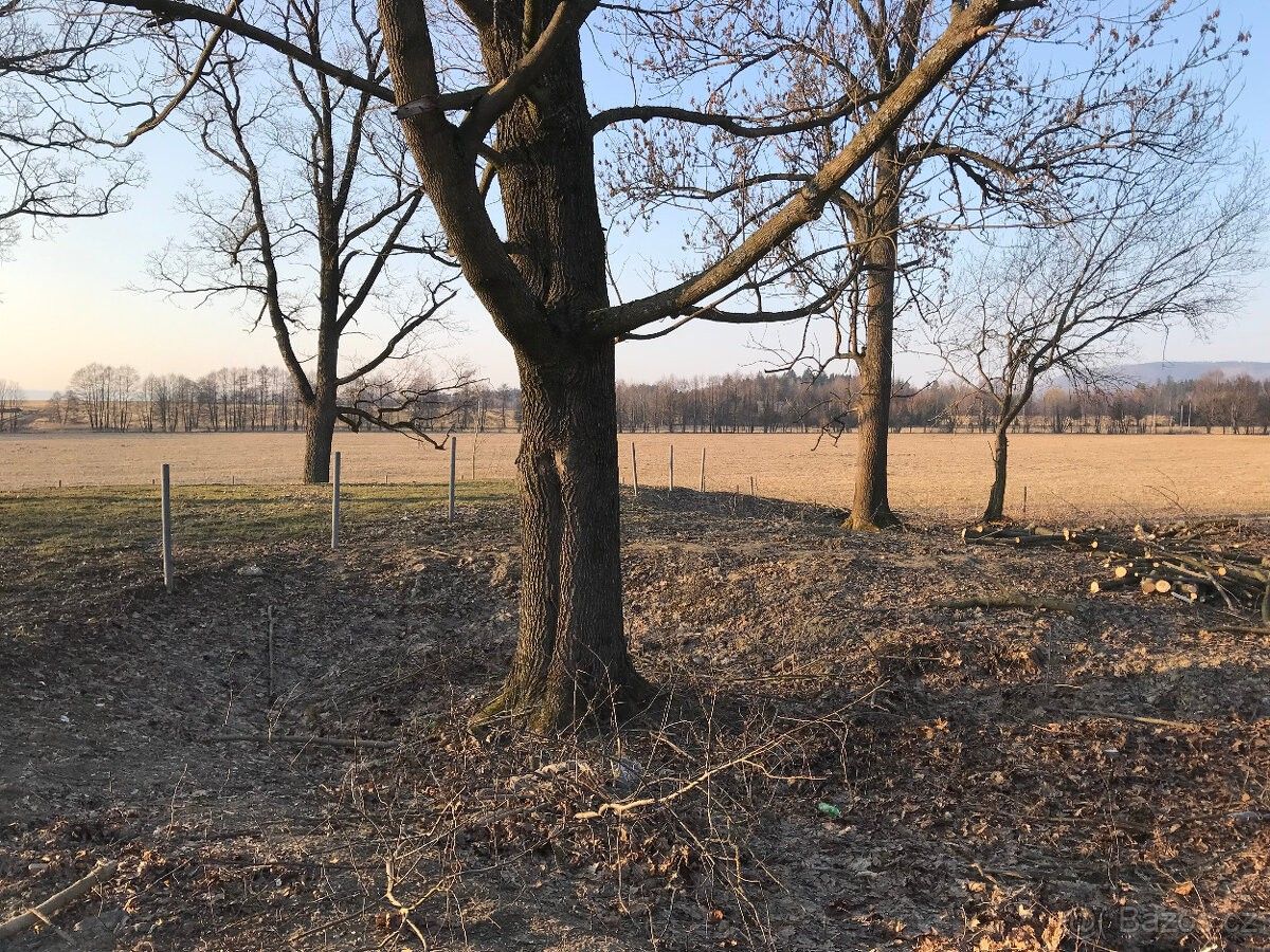 Prodej pozemek pro bydlení - Králíky, 561 69