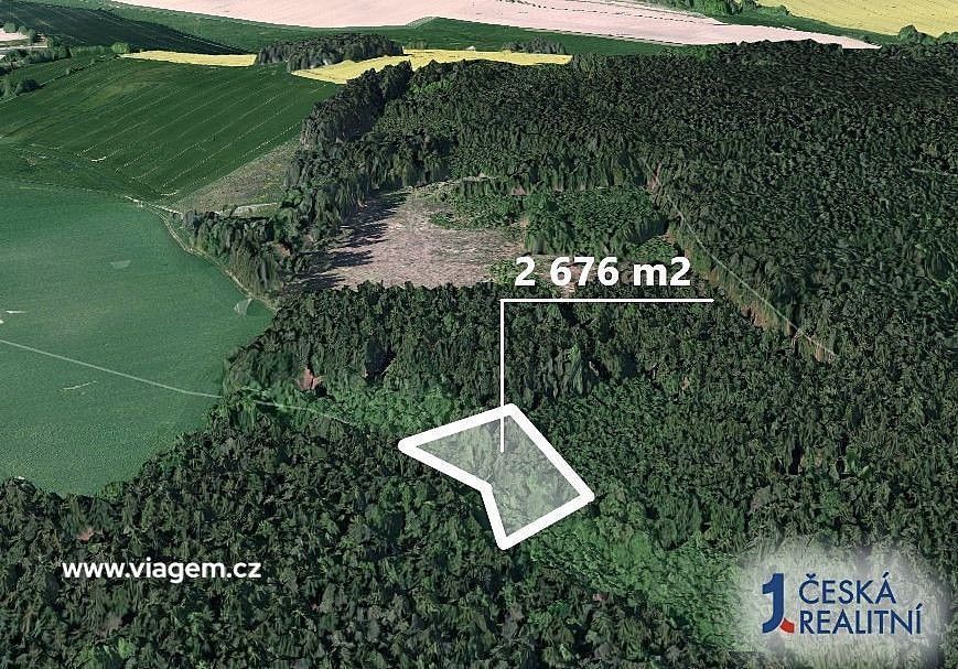 Lesy, Chýstovice, okres Pelhřimov, Kraj Vysočina - 2