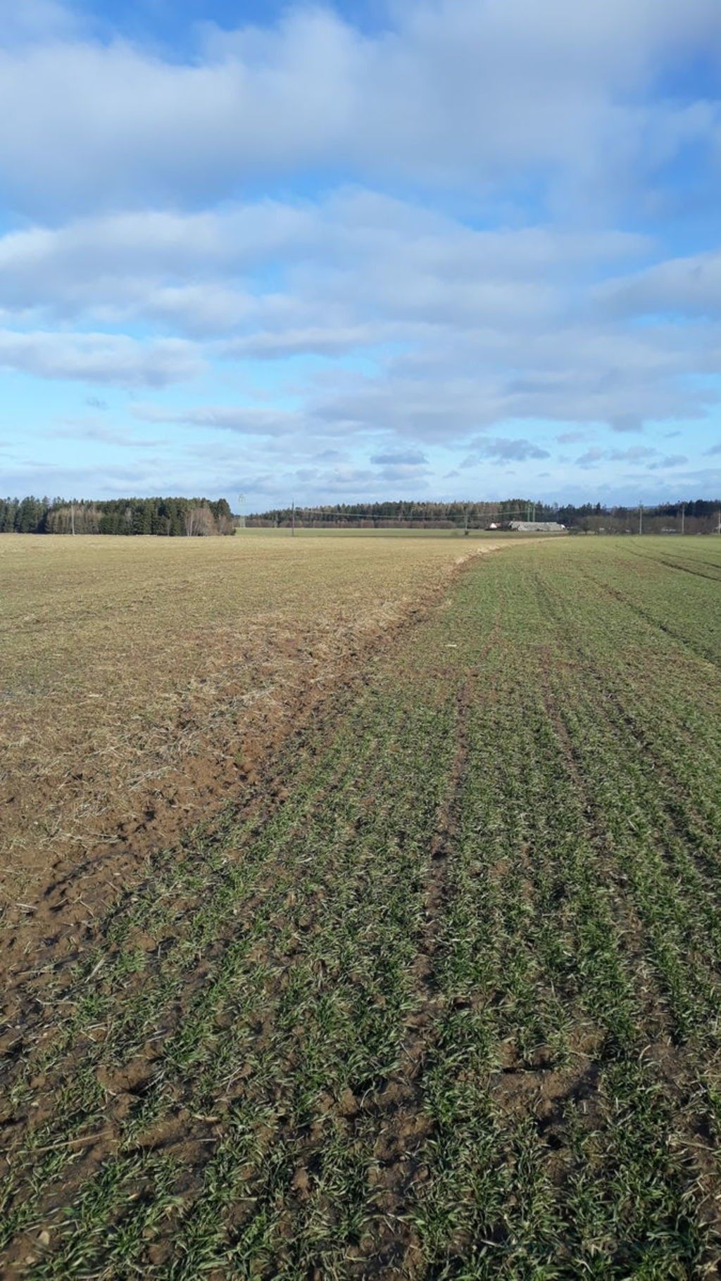 Prodej zemědělský pozemek - Horní Poříčí, 100 317 m²