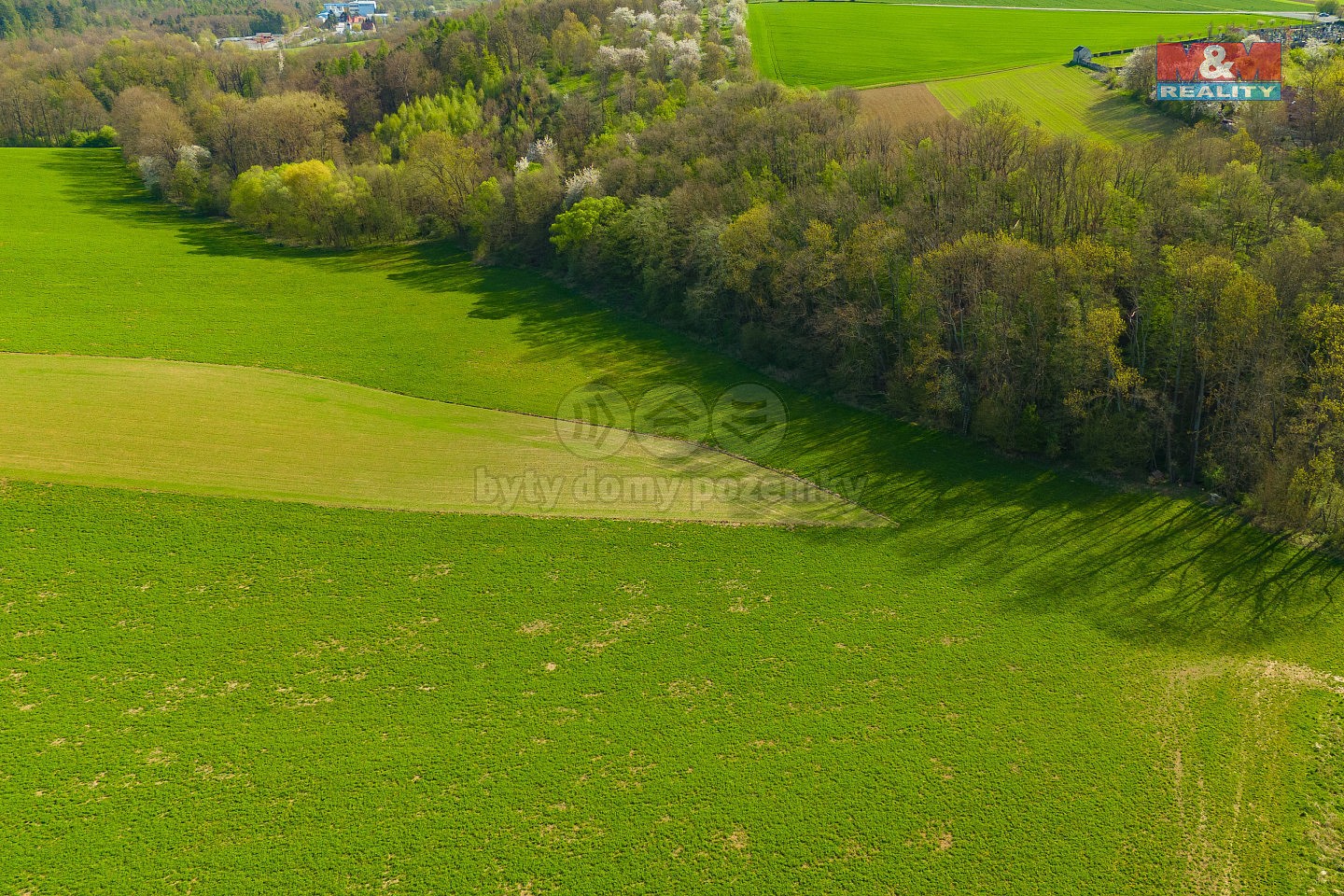 Zemědělský pozemek · Bílá Lhota, okres Olomouc - 4