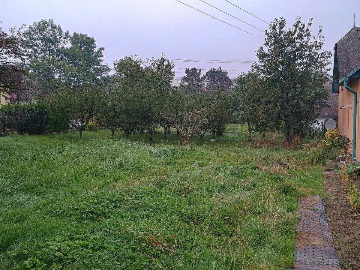 Pozemky pro bydlení, Žulová, 790 65