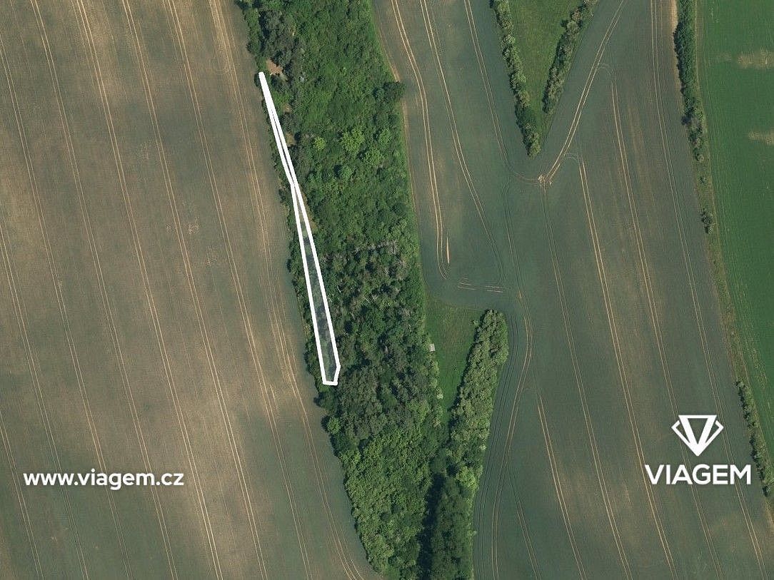 Zemědělský pozemek · Bzenec, okres Hodonín, Jihomoravský kraj - 3