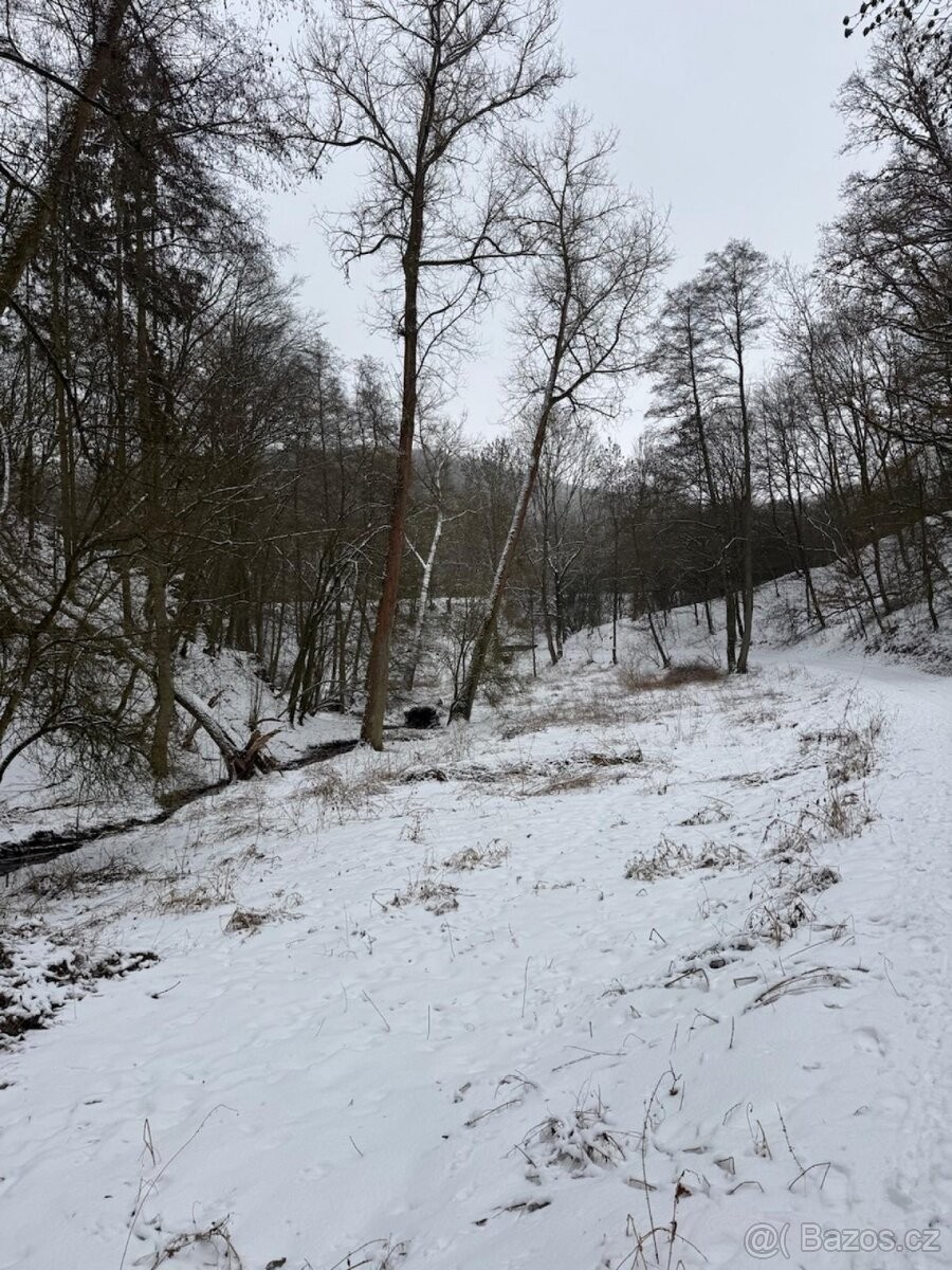 Prodej pozemek pro bydlení - Lovosice, 410 02 - 5