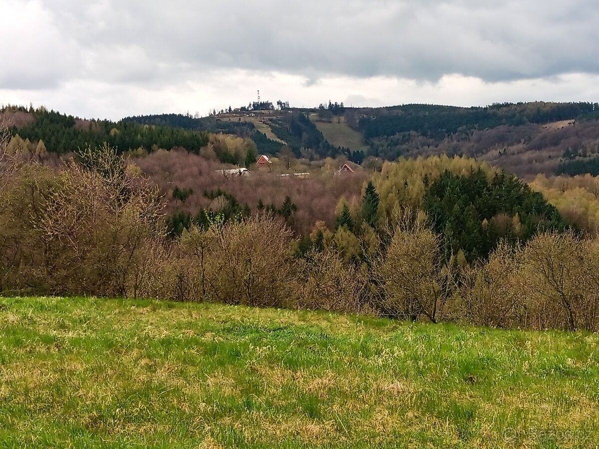 Restaurace · Starý Hrozenkov, 687 74 - 4