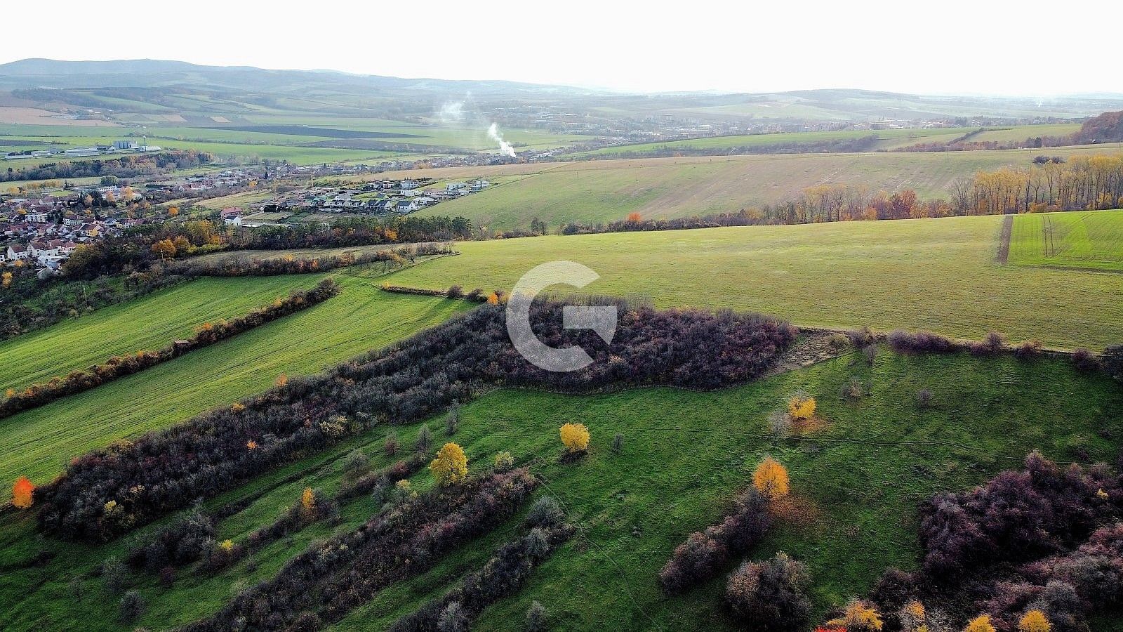 Zahrada · Újezdec, okres Uherské Hradiště, Zlínský kraj - 4