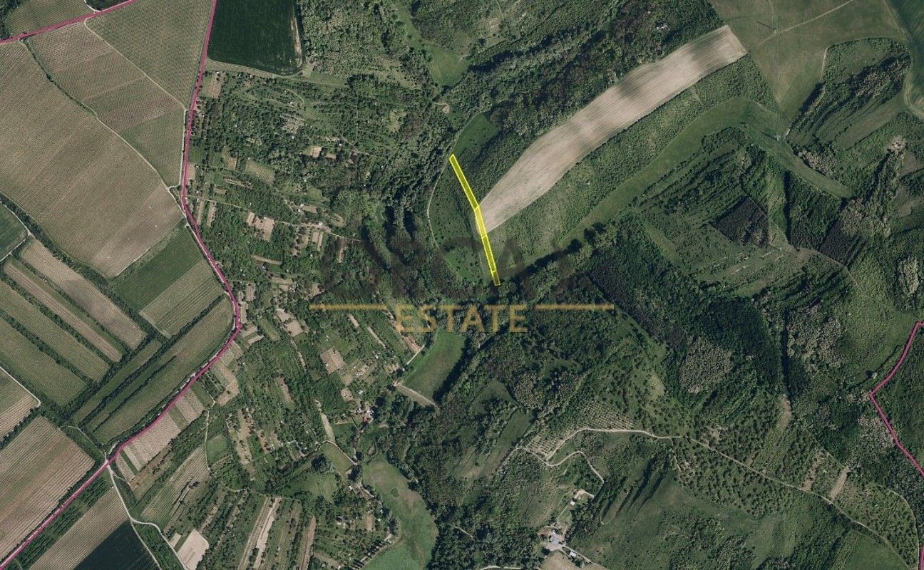 Zemědělské pozemky, Hustopeče, okres Břeclav, Jihomoravský kraj - 2