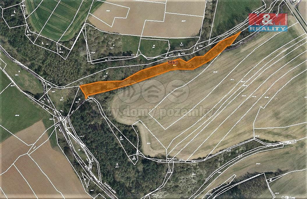 Les · Dobříč, okres Plzeň-sever, Plzeňský kraj - 4