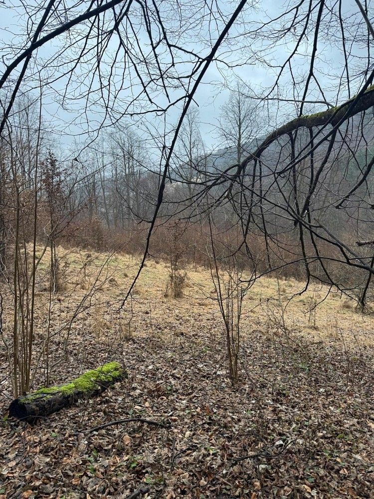 Prodej les - Zděchov - Velešovice, okres Vsetín, Zlínský kraj - 5