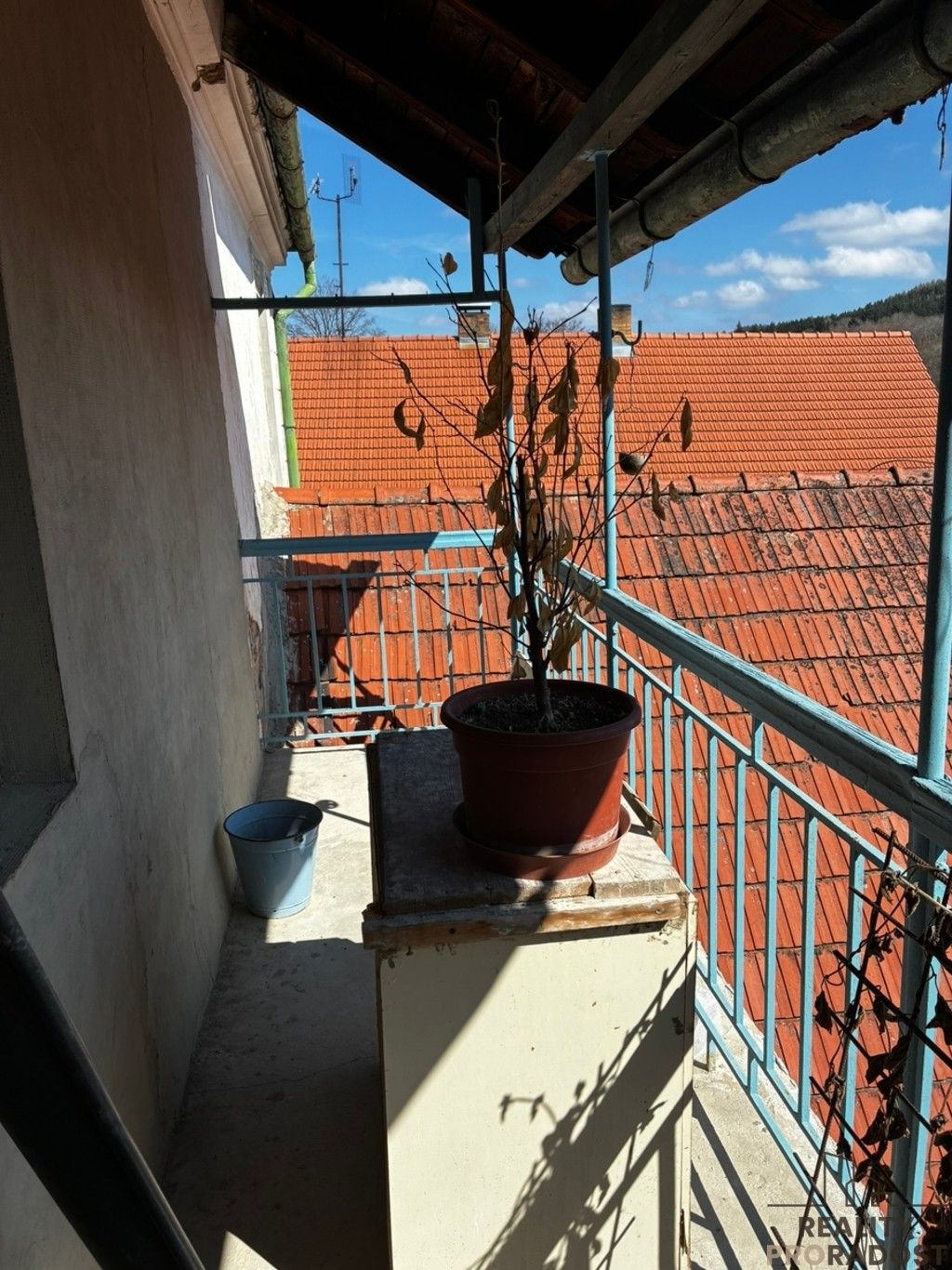 Prodej rodinný dům - Benešov nad Černou, 250 m² - 5