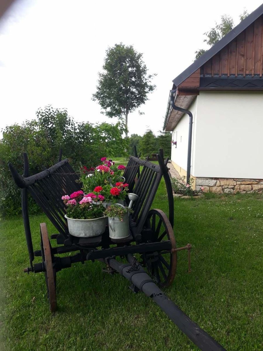 Chata · České Petrovice - České Petrovice, Pardubický kraj - 3