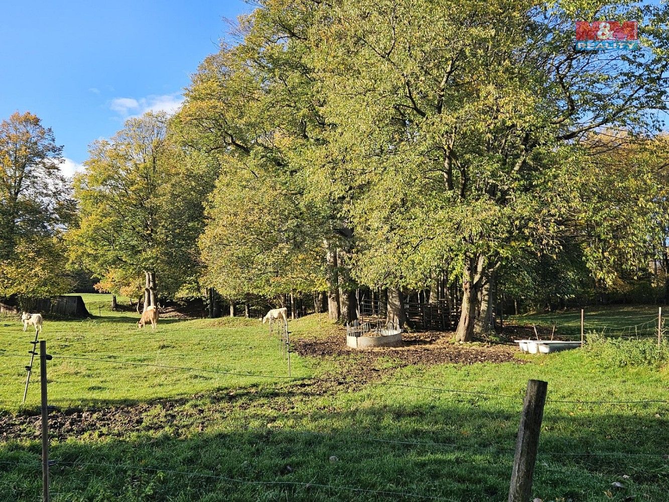 Pozemek · Zlaté Hory, okres Jeseník - 3