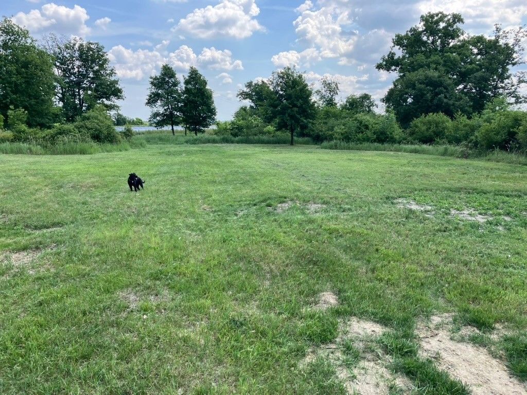 Pronájem pozemek pro bydlení - Předměřice nad Jizerou, 294 74