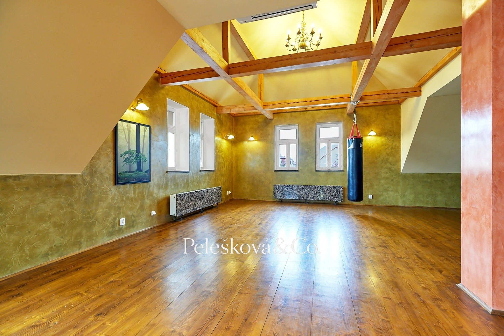Pronájem byt 4+kk - Havanská, Praha, 177 m² - 5