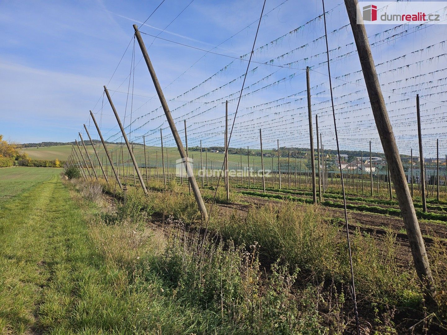 Prodej zemědělský pozemek - Trnobrany, Liběšice, 3 121 m²