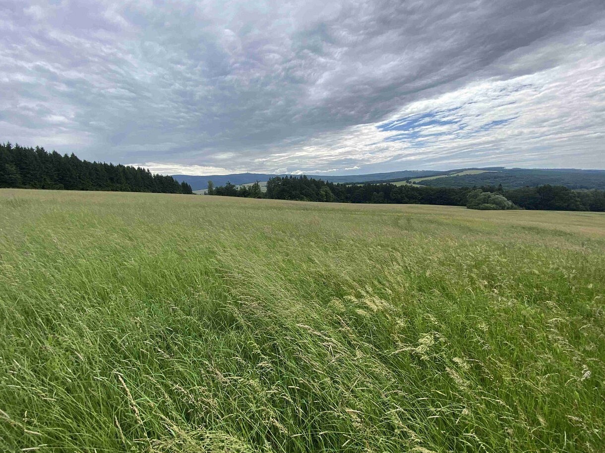 Louka · Strání - 3