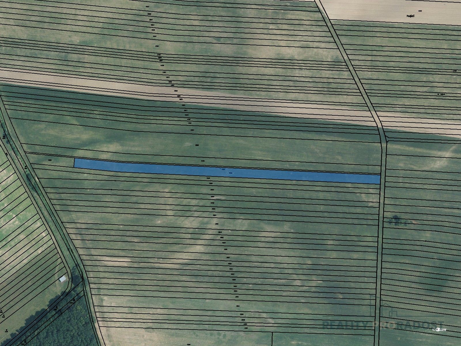 Zemědělské pozemky, Javorník, 20 600 m²