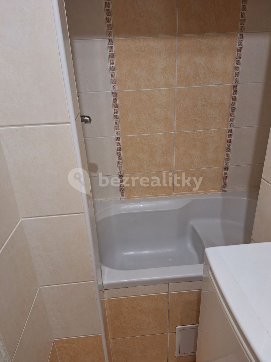 1+kk, Borská, Plzeň, Plzeňský kraj, 26 m² - 2