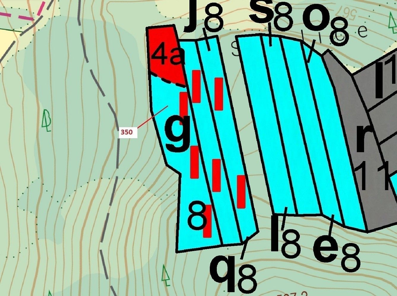 Les · Kovčín, okres Klatovy, Plzeňský kraj - 3