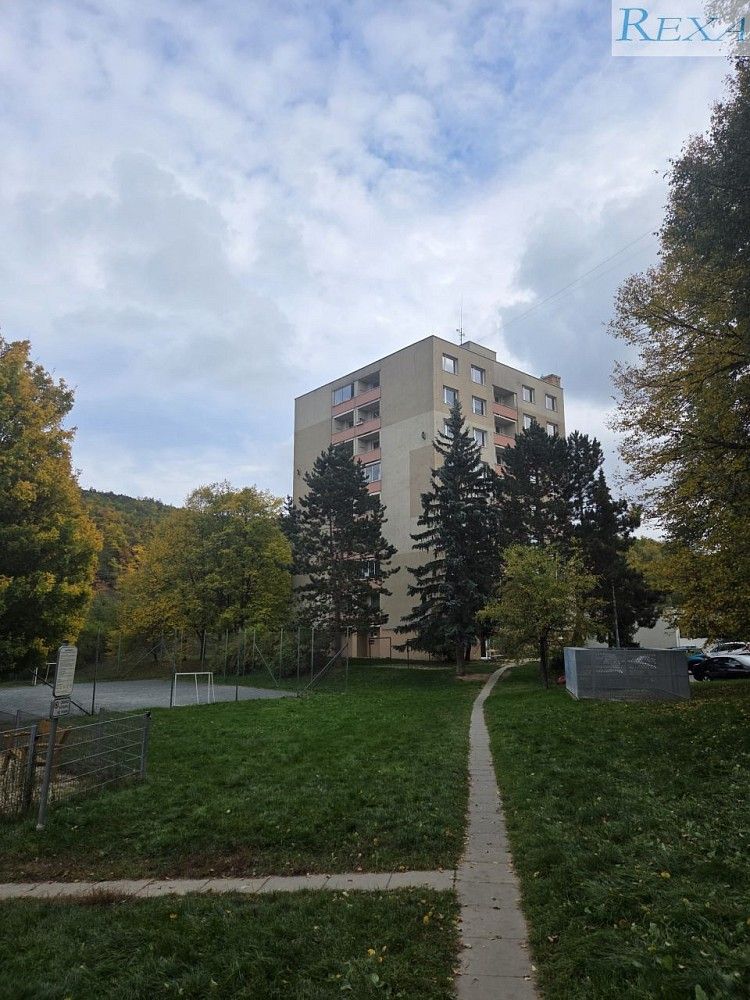 1+kk, Černého, Brno - Bystrc, 30 m² - 1