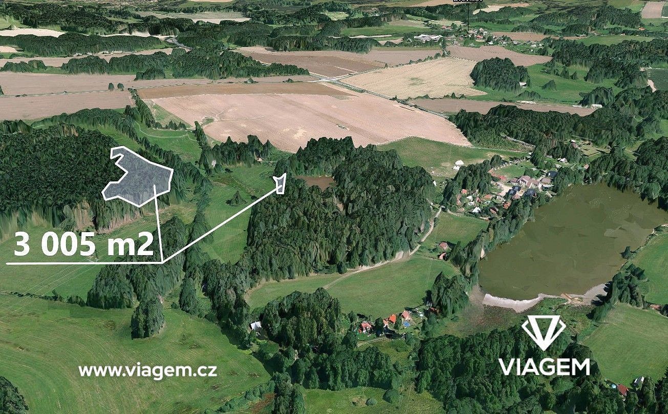 Zahrada · Slavíkov, okres Havlíčkův Brod, Kraj Vysočina - 3