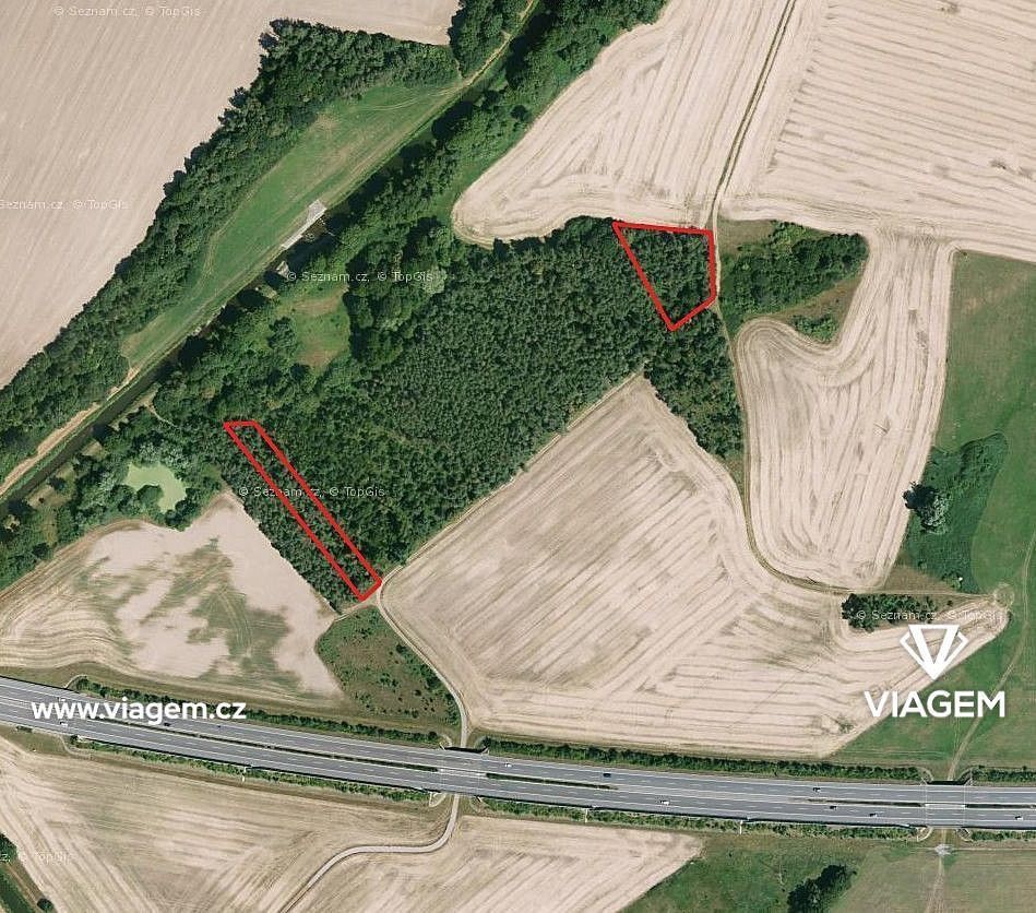 Prodej les - Olešnice, okres Hradec Králové, Královéhradecký kraj - 1