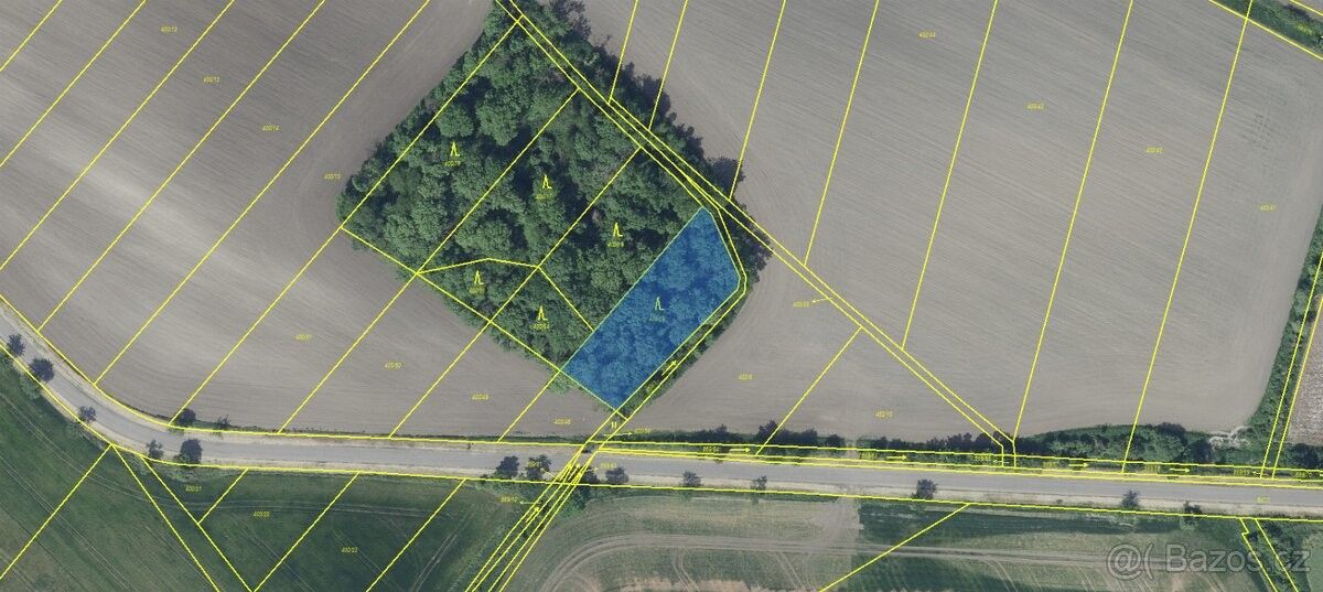 Prodej pozemek pro bydlení - Třebívlice, 411 15