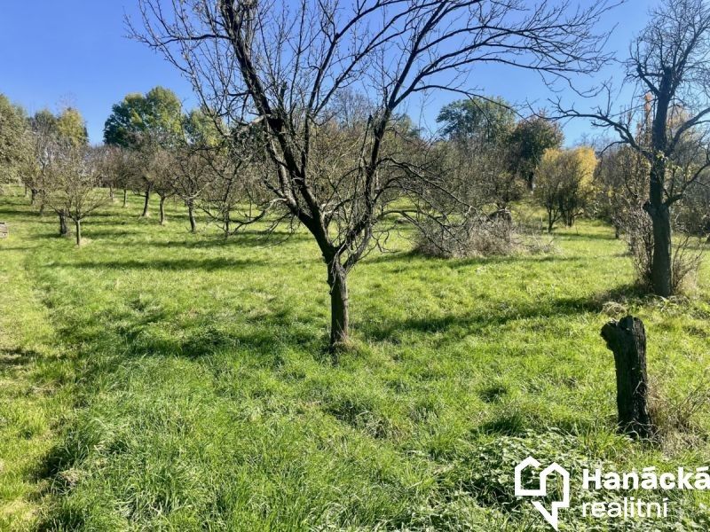 Prodej zahrada - Bořenovice