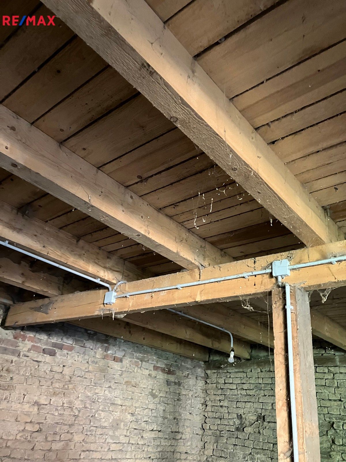 Prodej obchodní prostory - Švestkova, Olomouc, 482 m²