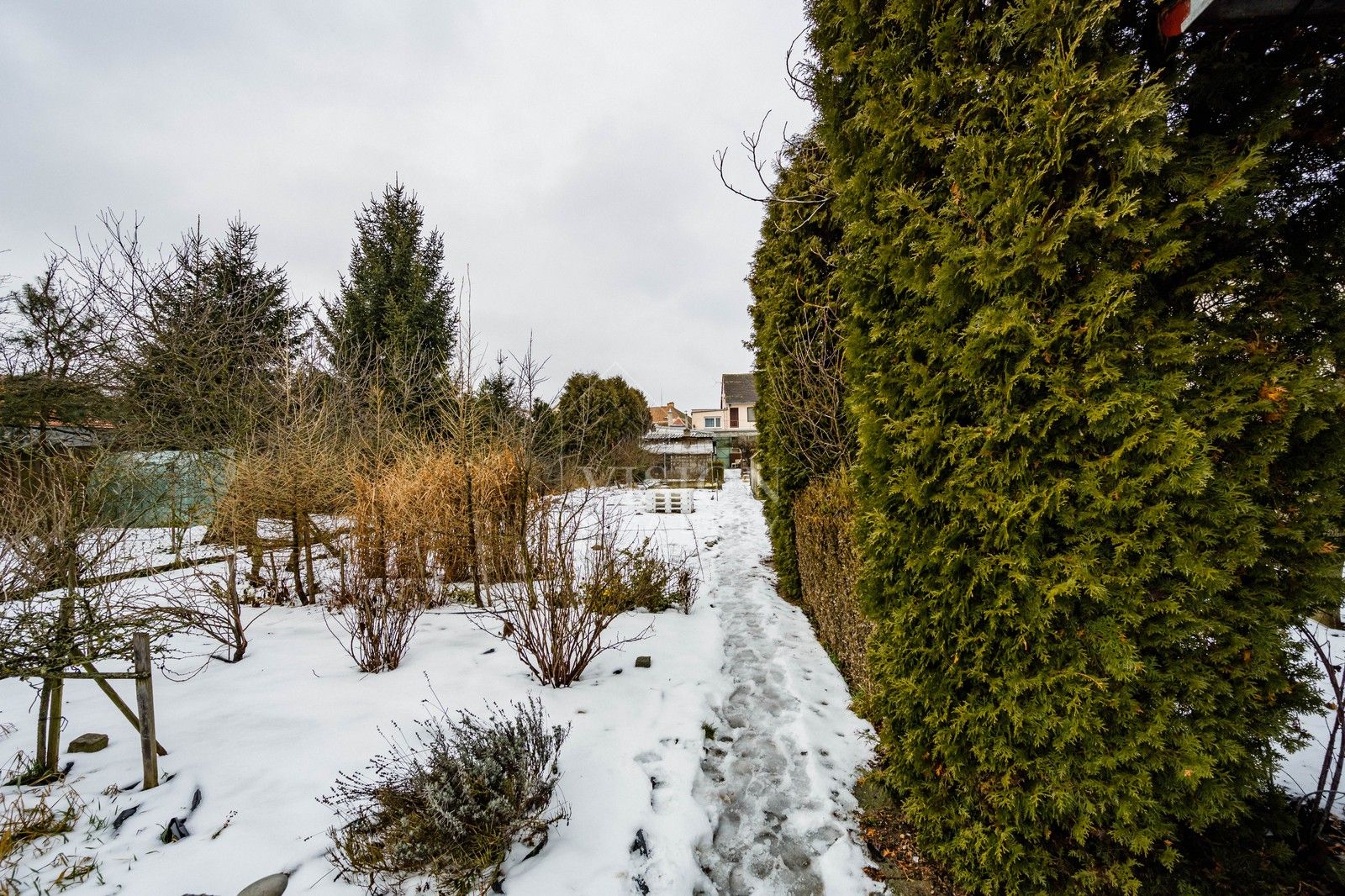 Prodej pozemek pro bydlení - K Ráji, Jaroměřice nad Rokytnou, 1 m²