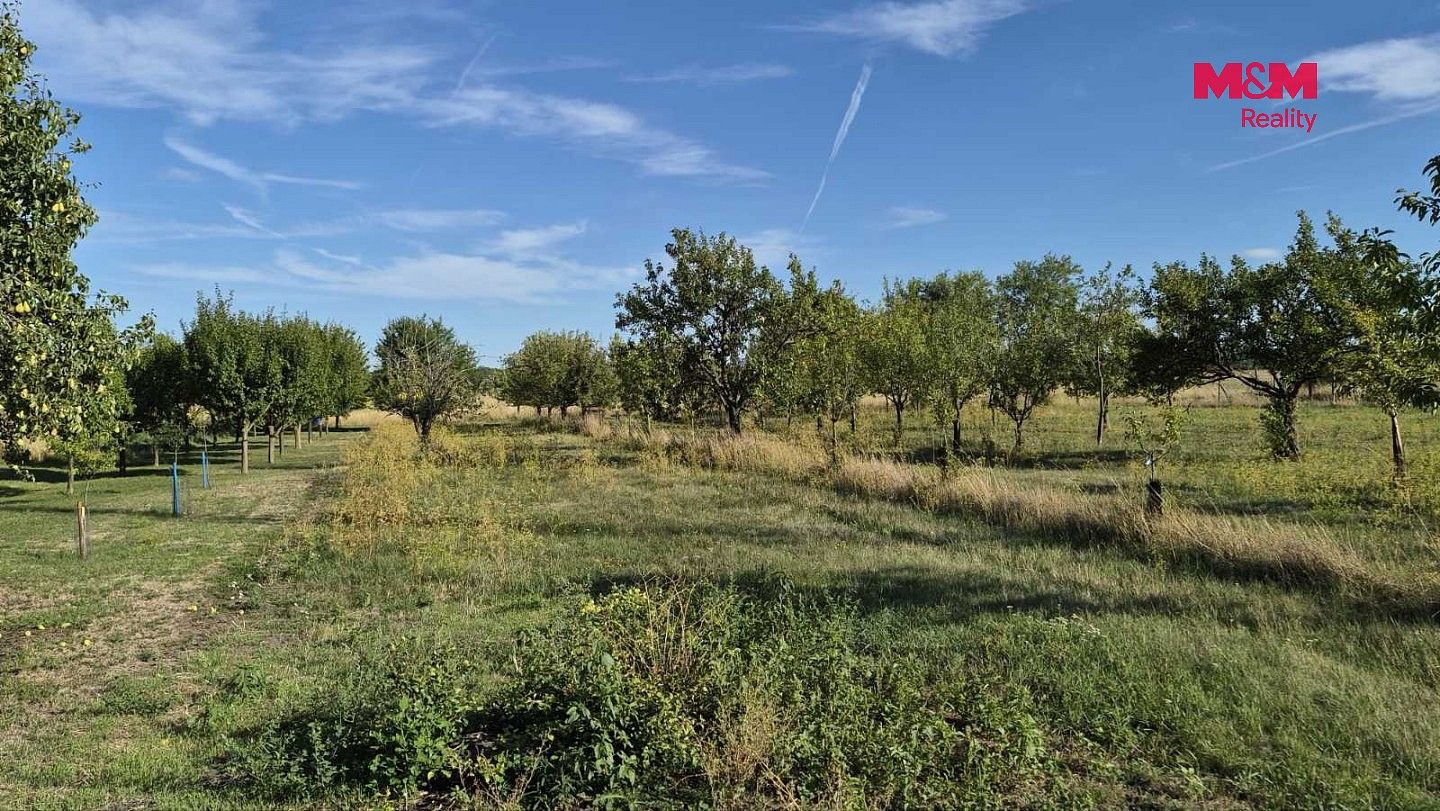 Zahrady, Mikulčice - Těšice, okres Hodonín, Jihomoravský kraj - 2