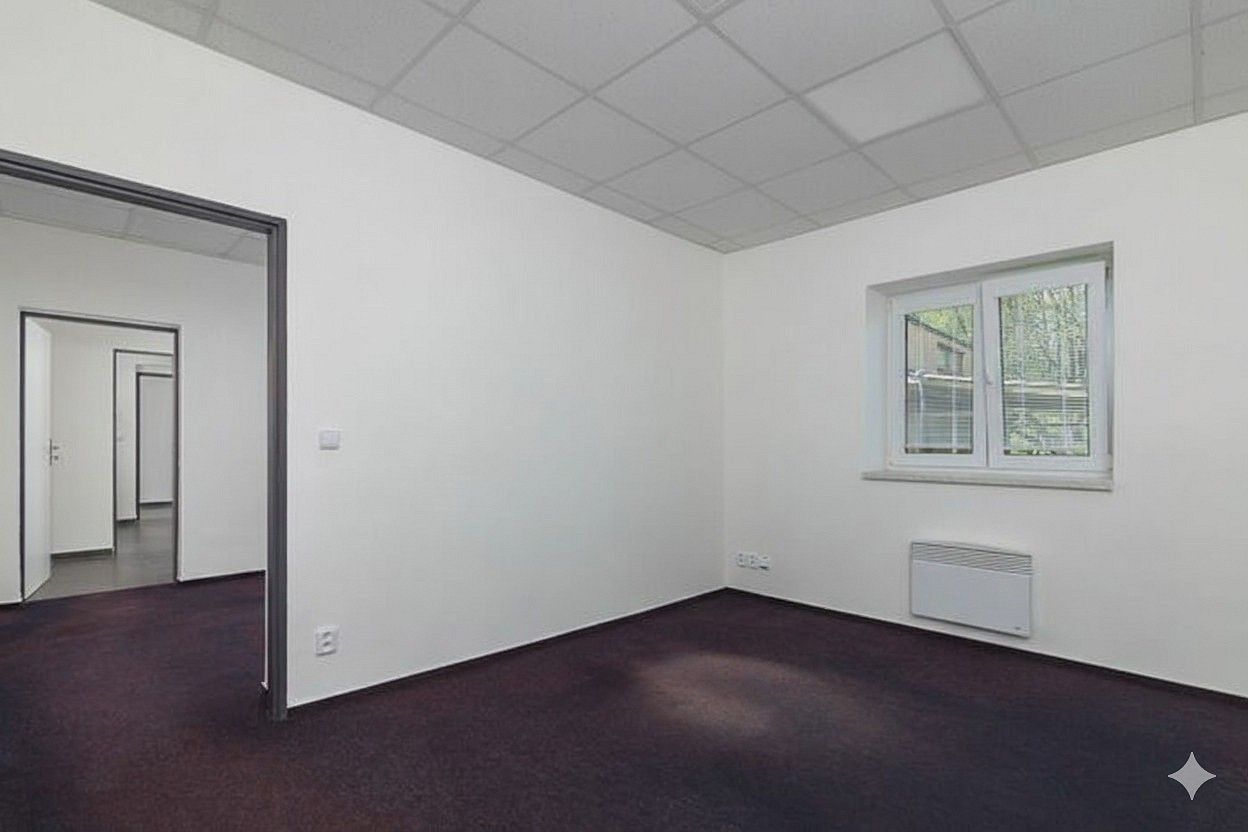 Kancelář · 238 m² · Řepiště, okres Frýdek-Místek, Moravskoslezský kraj - 3