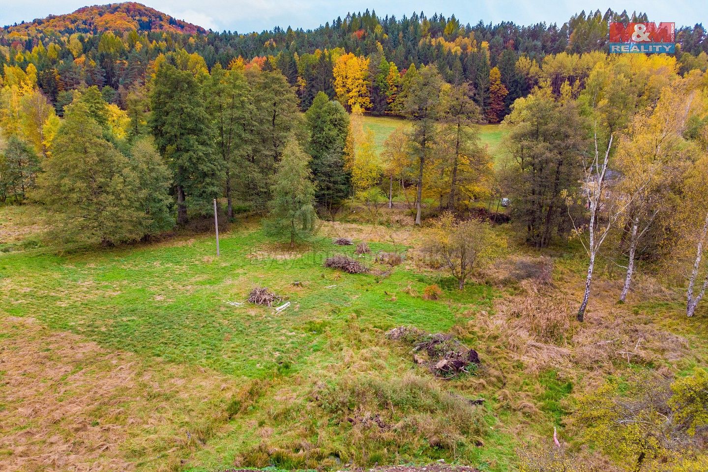Louka · Prysk, okres Česká Lípa, Liberecký kraj - 4