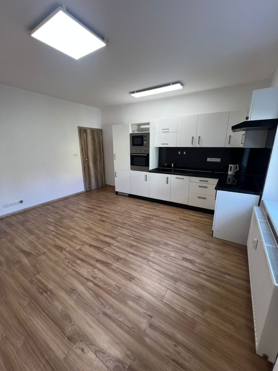 2+kk, Netušilova, Brno - Husovice, Jihomoravský kraj, 62 m² - 1