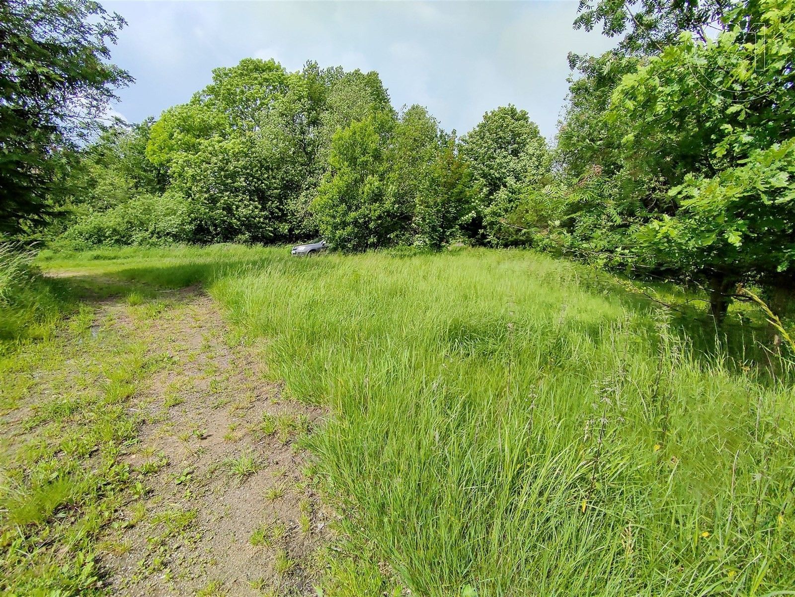 Prodej zemědělský pozemek - Studená