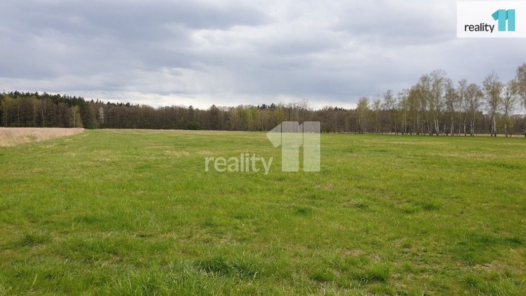 Zemědělský pozemek · 33 989 m² · K Břízkám, Hradec Králové - 3