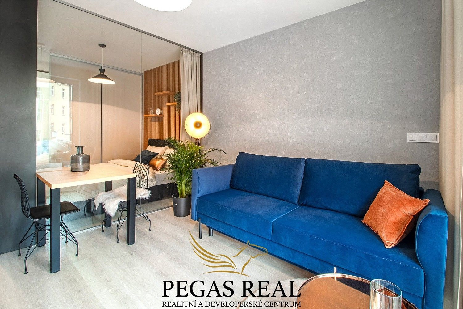 1+kk, Brno - Trnitá, okres Brno-město, Jihomoravský kraj, 30 m² - 1